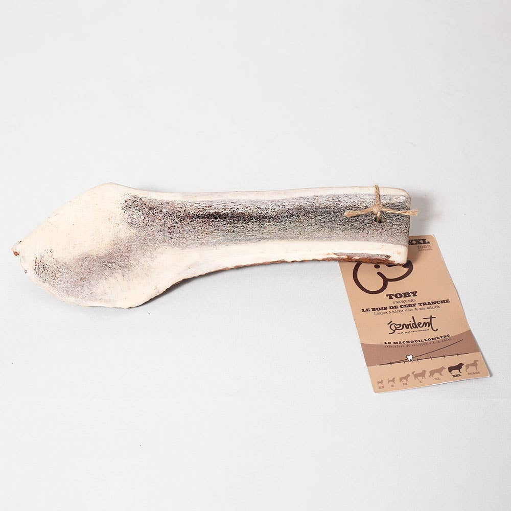 TOBY - Skivet hjortegevir til at tygge til hunde