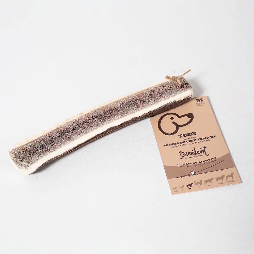 TOBY - Skivet hjortegevir til at tygge til hunde