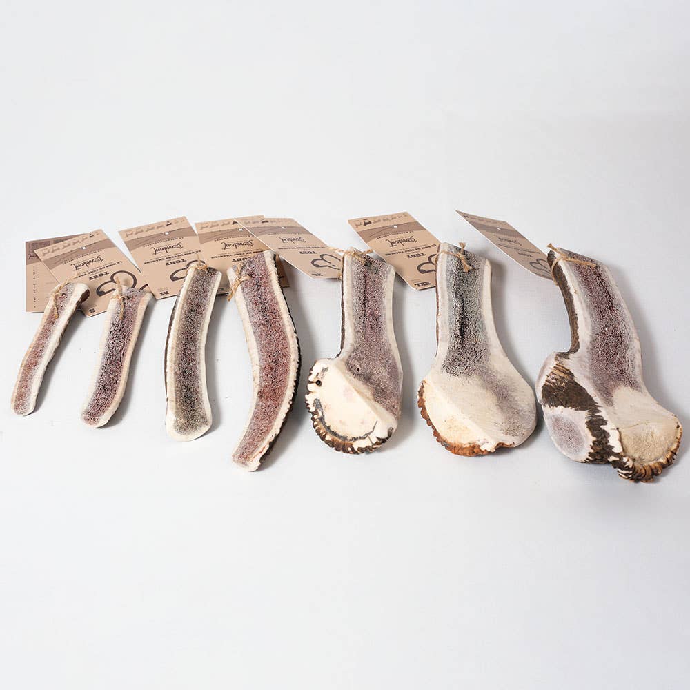 TOBY - Skivet hjortegevir til at tygge til hunde